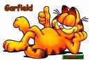 Garfield - 