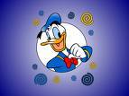 Donald duck - 