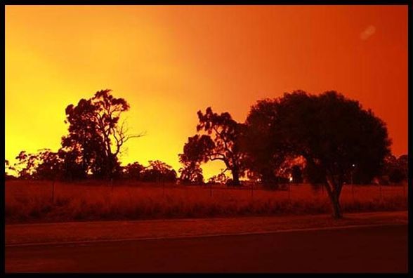 Buschbrände Melbourne - 