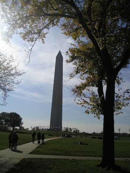 Washington D.C - 