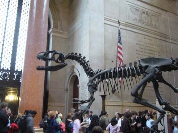 National History Museum NY - 