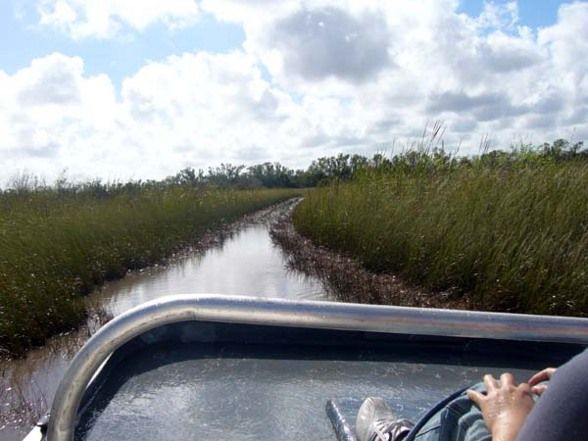 Aligatorfarm in den Everglades FL - 