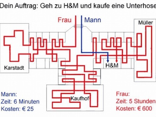 Lustiges und Kurioses - 