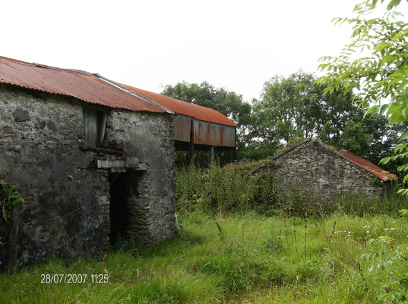 Praktikum IRLAND - 