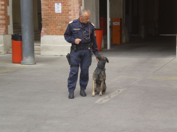 Polizei Wien - 