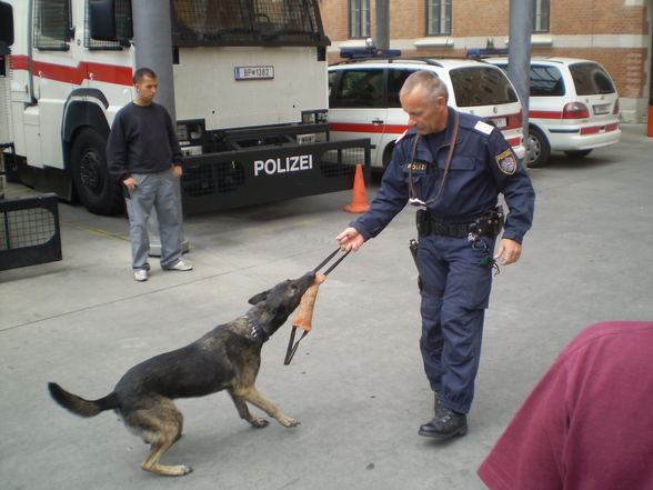 Polizei Wien - 