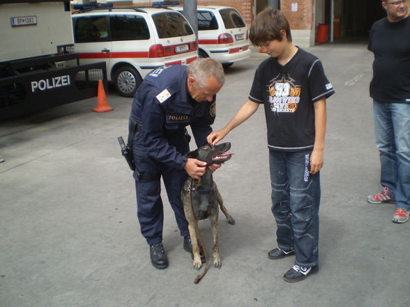 Polizei Wien - 