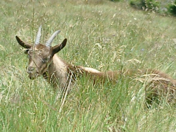 Bergfotos Schweiz 2007 - 