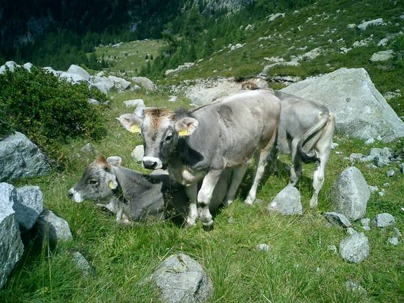 Südtirol 2006 - 