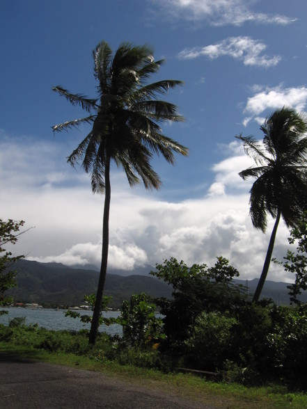 Karibik (Saba / Dominica) 2007 - 