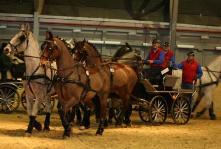 Reitstall SCHLÖGI - 