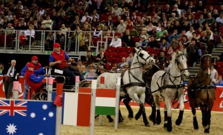 Reitstall SCHLÖGI - 