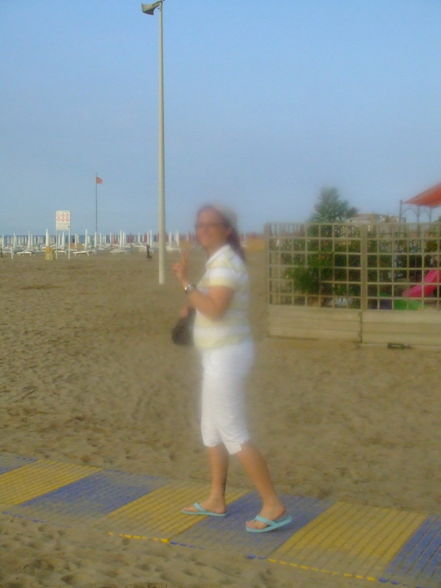 LiGnAno 2008 - 