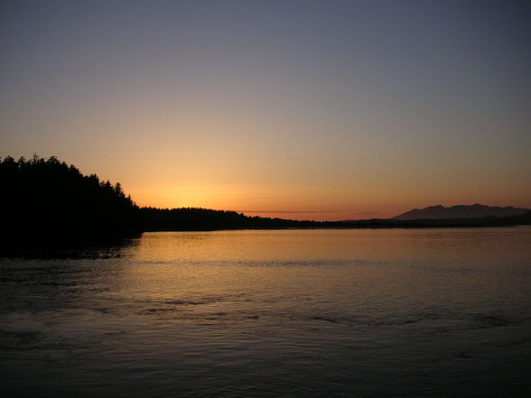 Best of Tofino - 