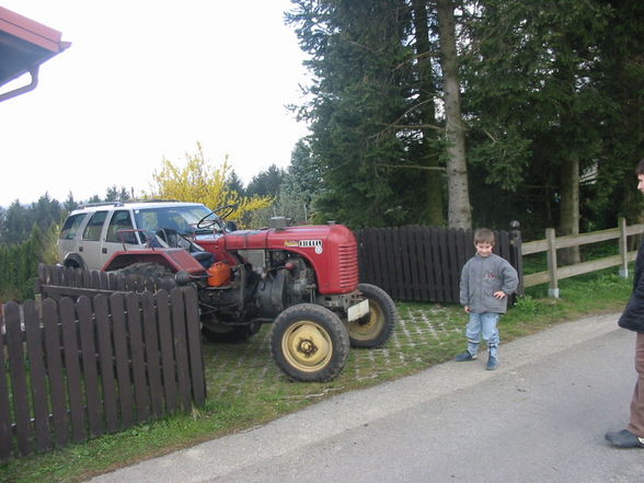 The Steyr is Mine - 