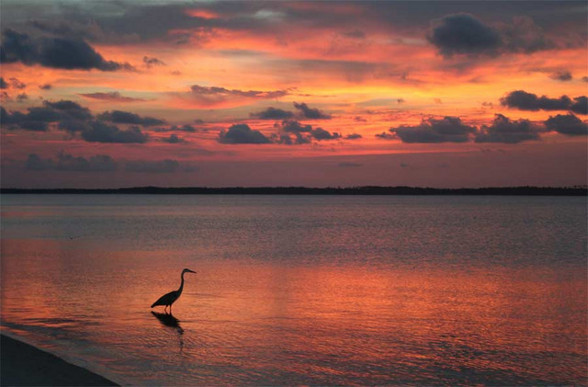 Pensacola, Florida (my home!) - 