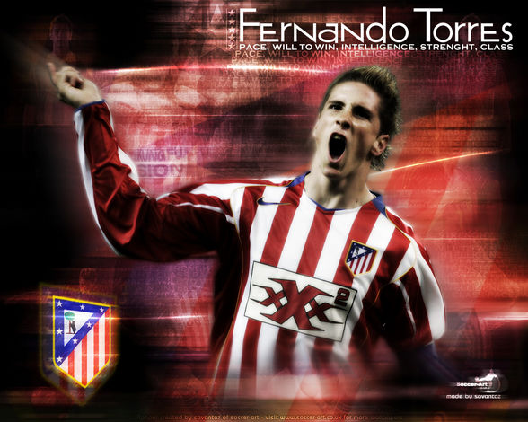 fernando torres - 