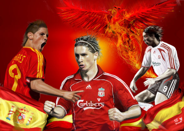 fernando torres - 