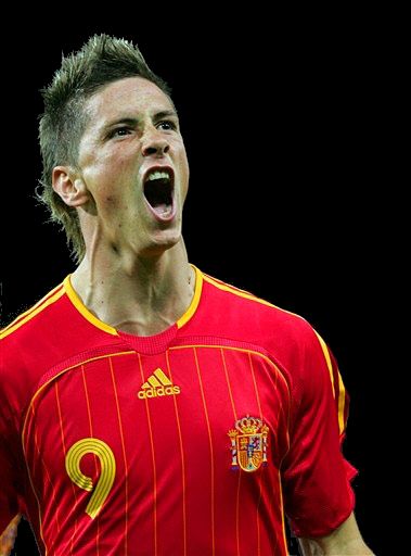 fernando torres - 