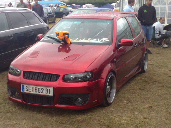 VW und AUDI treffen Waldhausen 2008 - 