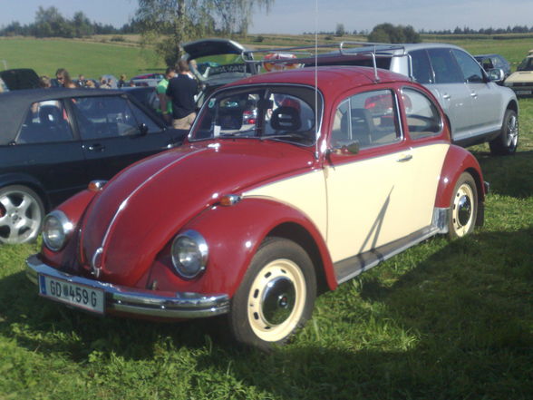 VW und Audi treffen Echsenbach - 