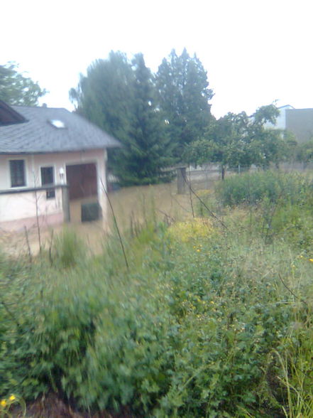 Hochwasser bei uns im bez. Melk - 