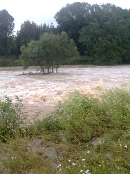 Hochwasser bei uns im bez. Melk - 