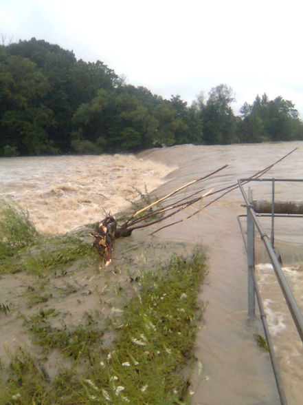 Hochwasser bei uns im bez. Melk - 