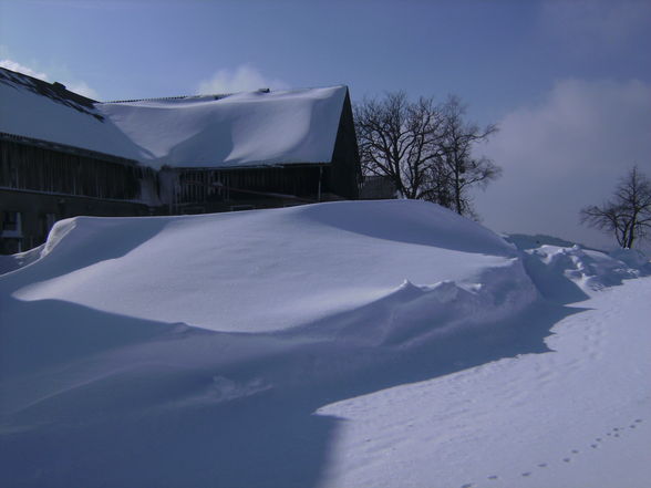 Schnee 2009 - 