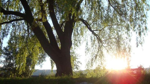 Wachau - 