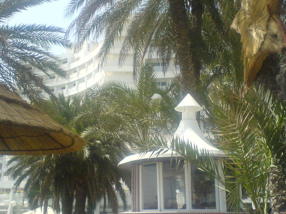 Tunesien 2008 - 