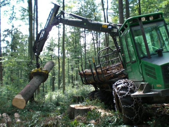 Kobernauserwald Holzfian! - 