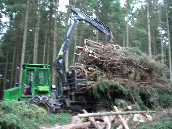 Kobernauserwald Holzfian! - 