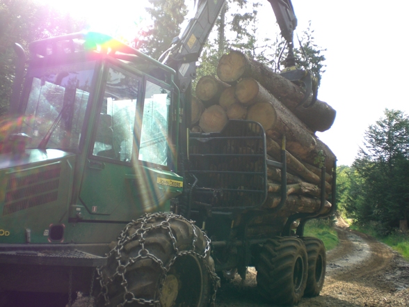 Kobernauserwald Holzfian! - 