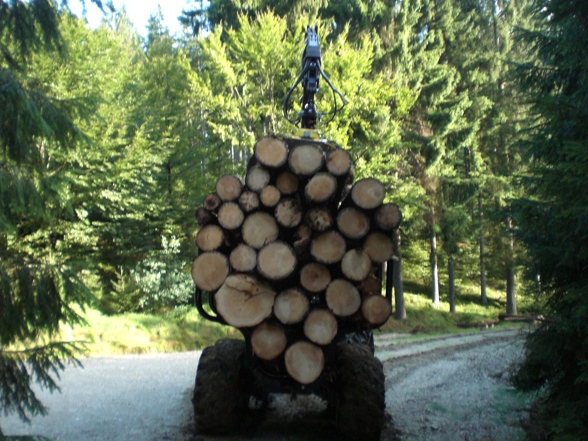 Kobernauserwald Holzfian! - 