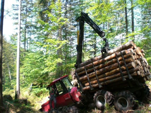 Grünau Holzfian - 