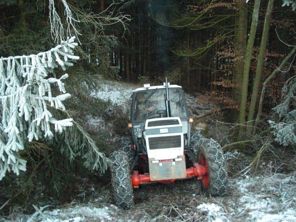 Forsttechnik - Steinhäusler u. Pühringer - 