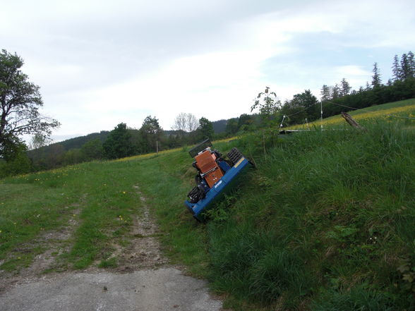 Steilböschungspflege - 