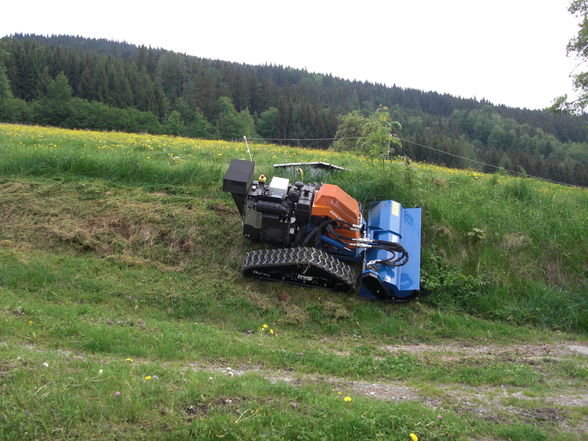 Steilböschungspflege - 