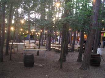 Waldfest 2007 - 