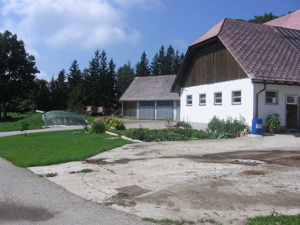 Mein schönes Zuhause/Familie - 