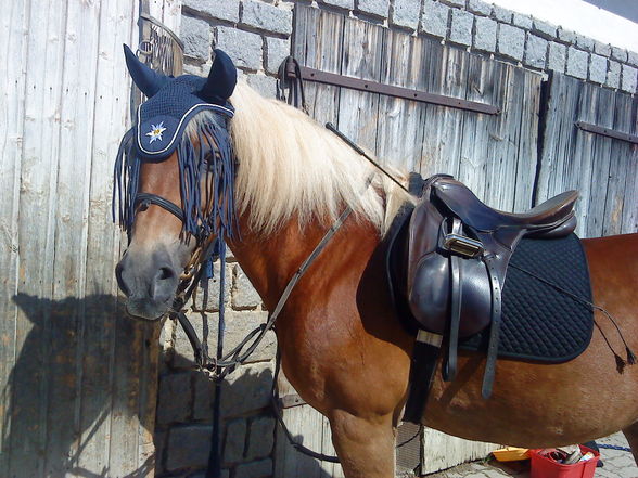 Briska...!!  - 