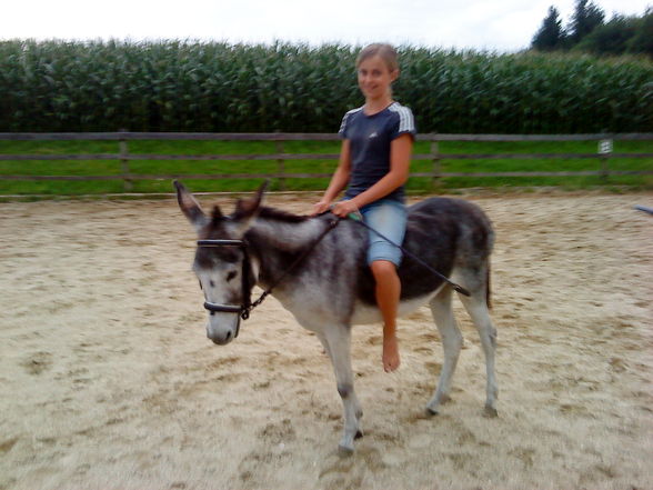 dies & das..=) - 