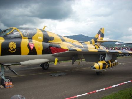 Airpower '09 - 