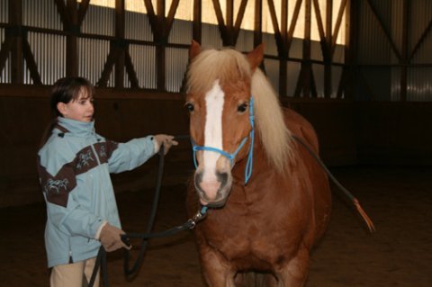 mein pferd ist immer gut gelaunt - 