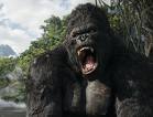 KING KONG - 