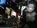 KING KONG - 