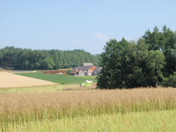 Traktoren und Mähdrescher - 