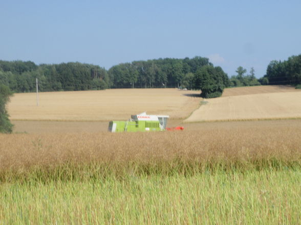 Traktoren und Mähdrescher - 