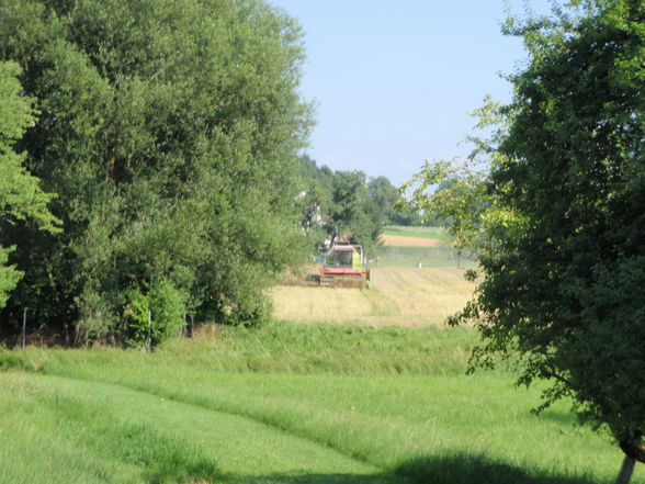 Traktoren und Mähdrescher - 